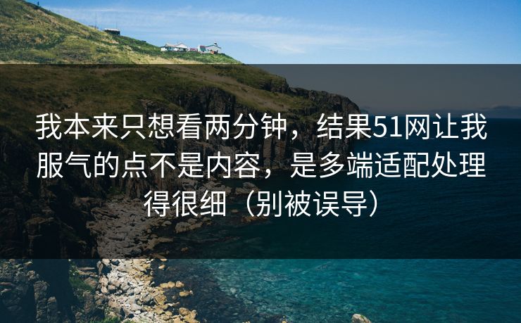 我本来只想看两分钟，结果51网让我服气的点不是内容，是多端适配处理得很细（别被误导）
